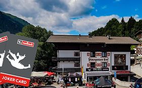 Hotel Pinzgauerhof by Skinetworks